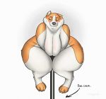  anthro blush breasts canid canine canis domestic_dog female hehky mammal overweight overweight_anthro overweight_female shiba_inu solo spitz 