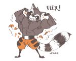  2020 abs anthro biceps big_muscles bottomwear cargo_shorts clothed clothing colored empty_eyes fingerless_gloves flexing fluffy fluffy_tail gloves grin guardians_of_the_galaxy handwear male male_focus mammal marvel muscular muscular_anthro muscular_male pecs procyonid raccoon raised_arm rocket_raccoon short_stack shorts simple_background smile solo spookspk standing topless torn_clothing 