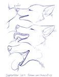  animal_genitalia blue_and_white canid canine duo feral fur genitals hi_res licking male mammal monochrome paper-wings sheath sheath_play simple_background sketch smile sniffing teeth text tongue tongue_in_sheath tongue_out 