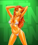  dc dcau drew_gardner starfire teen_titans 