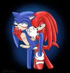  anal_penetration anthro balls blush echidna erection from_behind gay green_eyes hedgehog knuckles_the_echidna male mammal nude penetration penis purple_eyes raised_leg sega sex sonic_(series) sonic_team sonic_the_hedgehog spacefoxy standing 