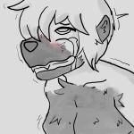  1:1 ahegao anthro bodily_fluids breasts bust_portrait canid canine canis clenched_teeth eye_roll female fluffy fluffy_chest fuckmaster9001 fur_spreading growth hair hi_res humanoid looking_pleasured mammal mid_transformation mind_break portrait shaking short_hair snout snout_growth solo solo_focus species_transformation tears teeth transformation twitching wolf 