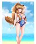  1girl animal_ears bangs beach blue_swimsuit breasts brown_hair closed_mouth enly_art flower hair_flower hair_ornament highres large_breasts looking_at_viewer pink_eyes ponytail raccoon_ears raccoon_tail raphtalia smile solo standing swimsuit tail tate_no_yuusha_no_nariagari 