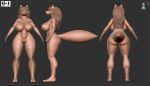  2020 3d_(artwork) anthro breasts butt canid canine digital_media_(artwork) female front_view genitals hi_res mammal nipples pussy rear_view sculpt side_view solo vck zbrush 