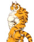  4:5 anthro butt captainjohkid chest_tuft eye_scar felid fur hi_res male mammal muscular muscular_anthro muscular_male nude orange_body orange_fur pantherine pecs scar simple_background solo striped_body striped_fur stripes tiger tuft whiskers white_background white_body white_fur yellow_eyes 