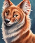  2020 4:5 ambiguous_gender black_nose blue_background brown_body brown_eyes brown_fur canid canine dhole feral fur hi_res inner_ear_fluff kebi mammal simple_background smile solo tuft whiskers white_body white_fur 