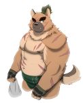 2020 anthro belly black_nose brown_body brown_fur canid canine canis cuson cute_fangs domestic_dog fur hi_res humanoid_hands male mammal moobs nipples one_eye_closed simple_background slightly_chubby solo sumo tokyo_afterschool_summoners video_games white_background wink yasuyori 