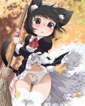  1girl animal_ear_fluff animal_ears bangs blue_eyes blurry blurry_background blush bow bow_panties bowtie broom cat_ears cat_tail dress eyebrows_visible_through_hair feet_out_of_frame frilled_dress frills garter_belt highres juliet_sleeves koharuko_(khrkhrk) leaf long_sleeves maid maid_dress maid_headdress navel open_mouth original panties puffy_sleeves red_bow red_neckwear short_hair solo tail thighhighs underwear white_legwear white_panties wind wind_lift 