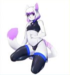  anthro bell blue_eyes bulge clothed clothing collar crop_top crossdressing dipstick_tail domestic_cat felid feline felis frosty_winds girly hi_res highlights_(coloring) kneeling latex_clothing latex_legwear legwear looking_aside looking_at_viewer male mammal multicolored_tail panties rubber shirt smile solo stripes suelix thigh_highs topwear underwear 