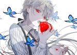  1boy black_bow black_nails blue_butterfly bolo_tie bow brooch commentary commentary_request dripping eyelashes fangs food fruit grey_hair hair_bow hand_up holding holding_food holding_fruit jewelry long_hair long_sleeves looking_at_viewer messy_hair natsuro open_mouth original pointy_ears ponytail red_eyes shirt solo spot_color stain striped striped_shirt suspenders tomato tomato_juice upper_body vampire very_long_hair white_background 