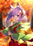  1girl :d ahoge animal_ear_fluff animal_ears autumn_leaves bangs blurry blurry_background blush breasts commentary_request day depth_of_field eyebrows_visible_through_hair fringe_trim green_kimono hair_ribbon hakama highres holding holding_leaf japanese_clothes kimono komari_channel leaf long_hair long_sleeves looking_at_viewer maple_leaf medium_breasts open_mouth outdoors purple_eyes purple_hair red_hakama ribbon sakura_komari shawl shiika_yuno smile solo thick_eyebrows tree virtual_youtuber white_ribbon wide_sleeves 