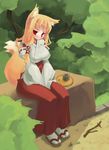  amasa_mitsunaru animal_ears bench blonde_hair blush breasts copyright_request covered_nipples drink fox_ears fox_tail hair_ornament hakama highres impossible_clothes japanese_clothes large_breasts leaf long_hair miko nature outdoors red_eyes red_hakama sandals sitting smile socks solo stick tail tray tree 