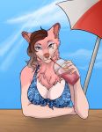  &lt;3 5_fingers anthro beach_umbrella beachwear big_breasts bikini bikinisitting blue_eyes bra breasts brown_hair canid canine canis charlotte_genevieve chiralchimera clothed clothing cloud colored digital_drawing_(artwork) digital_media_(artwork) domestic_dog facial_piercing female fingers fluffy fur hair heart_marking hi_res highlights_(coloring) humanoid_hands lookin_at_viewer looking_at_viewer mammal neck_tuft nordic_sled_dog nose_piercing nose_ring outside piercing pink_body pink_fur samoyed septum_piercing shaded sipping sky smile smoothie solo spitz swimwear tuft umbrella underwear wavy_hair ych_result 