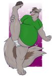  alex.fetter anthro belly big_belly blue_eyes brown_body brown_fur bulge clothing digitigrade flexible fur grey_body grey_fur hi_res holding_leg jonah_(alex.fetter) linoone male nintendo on_one_leg one_leg_up overweight overweight_anthro overweight_male pok&eacute;mon pok&eacute;mon_(species) pok&eacute;morph raised_leg shirt simple_background smile solo splits spread_legs spreading standing topwear underwear vertical_splits video_games 