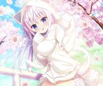  animal_ears blue_eyes catgirl cherry_blossoms clouds cropped fang flowers hoodie long_hair original panties petals shiwasu_horio sky striped_panties tail tree underwear white_hair 