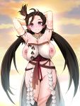  1girl armpits arms_behind_head ass_visible_through_thighs blush breasts brown_eyes brown_hair closed_mouth cloud fate/grand_order fate_(series) harukigenia highres himiko_(fate) jewelry large_breasts long_hair looking_at_viewer necklace nipples pussy sky smile solo standing sunset thigh_gap twintails 