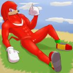  1:1 abs absurd_res anthro balls bodily_fluids genital_fluids genitals hi_res knuckles_the_echidna looking_at_viewer male muscular muscular_anthro muscular_male nude penis pheanir precum solo sonic_the_hedgehog_(series) 