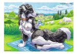  2020 4_toes 5_fingers anthro border border_collie breasts canid canine canis collie day detailed_background domestic_dog female fingers herding_dog kashmere mammal nude outside pastoral_dog sheepdog sky smile toes traditional_media_(artwork) white_border 