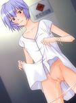  count_zero neon_genesis_evangelion rei_ayanami tagme 