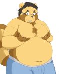  2013 alpha_channel anthro belly brown_body brown_fur bulge canid canine clothing eyewear fur glasses hi_res humanoid_hands kemono mahonex male mammal moobs navel nipples overweight overweight_anthro overweight_male raccoon_dog simple_background solo tanuki transparent_background underwear 