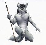  2017 abs animal_genitalia anthro athletic athletic_anthro athletic_male balls black_hair black_nose canid canine canis digital_media_(artwork) fur genitals grey_body grey_fur hair hi_res holding_object holding_spear holding_weapon kneeling long_hair looking_at_viewer maku_(masterofwolves99) male mammal melee_weapon navel nude on_one_knee pecs pinup polearm pose sheath smile solo spear umpherio warrior weapon wolf 