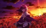  aliasing flowers magia_record:_mahou_shoujo_madoka_magica_gaiden naga_(pixiv) sunset tagme_(character) 