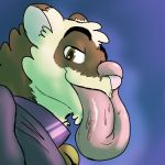  1:1 2020 anthro bell bell_collar big_tongue bodily_fluids collar domestic_ferret drooling fluffy hyper hyper_tongue male mammal muffin_(themuffinly) mustela mustelid musteline saliva solo themuffinly thick_tongue tongue 
