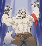  2019 5_fingers absurd_res adios anthro belt big_muscles black_nose black_pawpads blue_eyes bottomwear bracelet canid canine canis clothed clothing duke_(nightterror) ear_piercing ear_ring fingers fur hi_res humanoid_hands jewelry looking_at_viewer male mammal muscular muscular_anthro muscular_male nipples open_mouth pants pawpads piercing pink_nipples pink_tongue solo spiked_bracelet spikes standing tongue tongue_out topless torn_clothing white_body white_fur wolf 