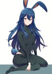  1girl ameno_(a_meno0) animal_ears blue_eyes blue_hair bunny_ears bunny_tail fire_emblem fire_emblem_awakening flat_chest highres looking_at_viewer lucina_(fire_emblem) pants rabbit_girl simple_background sitting solo sweater tail white_background wide_hips 