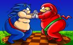  anthro duo echidna eulipotyphlan hedgehog knuckles_the_echidna male mammal monotreme overweight royaljellysandwich sonic_the_hedgehog sonic_the_hedgehog_(series) sumo sumo_wrestling 
