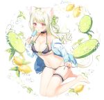  1girl animal_ear_fluff animal_ears artist_request barefoot bell bell_collar bikini black_bikini bow bow_bikini breasts cat_ears cat_tail collar collarbone food fruit full_body green_hair jacket jingle_bell kneeling large_breasts leaf leg_garter lemon lime_(fruit) lime_slice long_hair long_sleeves lowleg lowleg_bikini navel off_shoulder open_clothes open_jacket original popsicle red_eyes side-tie_bikini solo striped striped_bikini swimsuit tail tied_hair water_drop 