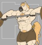  2017 5_fingers absurd_res anthro armpit_hair barbell big_bulge big_muscles black_nipples blonde_hair bodily_fluids body_hair bottomwear bulge chest_hair clothed clothing ear_piercing equid equine exercise fingers fur hair hi_res horse humanoid_hands male mammal muscular muscular_anthro muscular_male nightterror nipples piercing pubes remidragon shorts simple_background solo sweat topless weightlifting white_body white_fur workout yellow_eyes 