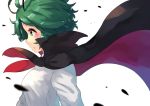  1girl alternate_breast_size antennae bangs black_cape blush breasts cape collared_cape collared_shirt commentary eyebrows_visible_through_hair green_eyes green_hair hashiro long_sleeves looking_to_the_side medium_breasts open_mouth profile red_cape shirt short_hair simple_background solo standing teeth touhou two-tone_cape upper_body white_background white_shirt wind wriggle_nightbug 
