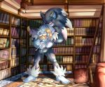  absurd_res anal anthro balls bodily_fluids cum cum_in_ass cum_inside duo eulipotyphlan full_nelson genital_fluids genitals hi_res inside library male male/male mammal nude penis size_difference soina sonic_the_hedgehog_(series) sonic_the_werehog sonic_unleashed uncle_chuck were wereeulipotyphlan werehog 