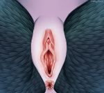  anami_ertone anus clitoral_hood clitoris close-up crotch_shot digital_media_(artwork) dragon female feral fur genitals multicolored_body multicolored_fur pussy pussy_shot solo two_tone_body two_tone_fur 