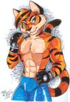  abs anthro clothing felid fingerless_gloves gloves handwear male mammal pantherine smile solo terrie_smith tiger 