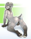  anthro anus balls bovid brown_body brown_fur butt caprine dlw fur genitals green_eyes hi_res horizontal_pupils horn looking_at_viewer looking_back male mammal neck_tuft penis pupils sheep solo tuft white_body white_fur 