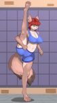  4k 9:16 absurd_res anthro breasts brown_body brown_fur clothing digitigrade dipstick_tail female flexible full-length_portrait fur green_eyes gym hair hi_res inside johnmarten mammal meme multicolored_tail one_leg_up portrait raised_leg red_hair rodent solo splits spread_legs spreading springhare standing stretching tagme under_boob vertical_splits 