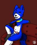  blue_body blue_eyes blue_fur blue_penis bluethefox canid canine collar fox fur furniture genitals grey_body grey_fur humanoid leash lgbt_pride male mammal pansexual_pride_colors penis pride_colors snowball-the-undying sofa solo solo_focus white_body white_fur 