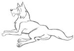  akela black_and_white canid canine canis chin_fur feet_together feral jungle_book_shōnen_mowgli looking_away lying male mammal monochrome resting side_view simple_background sketch solo thegreatmatsutzu white_background wolf 