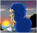  anthro balls border butt flamez genitals hi_res leaning_on_object looking_at_viewer looking_back male postcard solo sonic_the_hedgehog sonic_the_hedgehog_(series) sunset white_border 