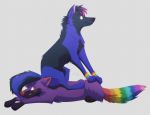  adelar_elric blue_body blue_eyes blue_fur blush canid canine canis digital_media_(artwork) duo embarrassed feral fur hair male mammal multicolored_tail purple_body purple_fur rainbow_tail sitting smile sparkles toony wolf wristband 