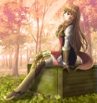  1girl animal_ears autumn bangs boots brown_footwear brown_gloves brown_hair from_side gloves grey_skirt highres long_hair long_sleeves miniskirt open_mouth outdoors pasopy pleated_skirt profile raccoon_ears raccoon_girl raccoon_tail raphtalia red_eyes shiny shiny_hair sitting skirt solo straight_hair tail tate_no_yuusha_no_nariagari thigh_boots thighhighs very_long_hair zettai_ryouiki 