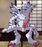  animal_genitalia animal_penis anthro balls canid canine canine_penis digimon digimon_(species) dog_tags erection genitals hand_on_object inside knot male mammal otakujackal penis scar sitting smile solo teeth_showing thegreatmatsutzu weregarurumon 