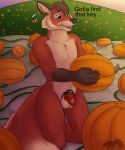  absurd_res anthro canid canine chastity_(disambiguation) chastity_cage chastity_device food fox fruit genitals hi_res jerome kinktober kinktober_2020 male mammal nervous nervous_sweat outside penis plant pumpkin pumpkin_patch solo thatblackfox_(artist) 