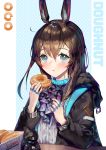  1girl :t a0lp amiya_(arknights) animal_ears arknights bangs black_jacket blue_eyes blue_neckwear blush brown_hair bunny_ears character_doll doctor_(arknights) doughnut food grey_shirt hair_between_eyes hands_up highres holding holding_food jacket jewelry krispy_kreme long_hair long_sleeves looking_at_viewer neck_ring ring shirt solo upper_body 