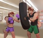  2020 5_fingers abs anthro arm_tuft athletic athletic_anthro athletic_female athletic_male black_clothing black_nose black_tank_top black_topwear bodily_fluids bottomwear boxing boxing_gloves bra braided_hair breasts brother brother_and_sister brown_body brown_fur brown_hair brown_nose canid canine canis claws clothed clothing duo elbow_tufts female fighting_ring fingerless_gloves fingers fur gloves green_bottomwear green_clothing green_shorts gym hair handwear holding_object holding_punching_bag looking_at_another male mammal nasnency navel nils_rinkan punching_bag purple_bottomwear purple_bra purple_clothing purple_shorts shirt shorts sibling sister sport sports_bra sports_shorts sportswear sweat tani_rinkan tank_top topwear training tuft underwear wolf 