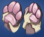  akudrache ambiguous_gender foot_focus hindpaw hyaenid lagomorph leporid mammal massage paw_rubs pawpads paws plantigrade rabbit 