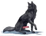  anatomically_correct anatomically_correct_genitalia anatomically_correct_penis animal_genitalia animal_penis balls black_body black_fur black_pawpads canid canine canine_penis canis claws digitigrade erection feral finger_claws fur genitals heatherwolf knot looking_at_viewer male mammal pawpads penis pink_penis presenting presenting_penis quadruped shadow simple_background solo toe_claws whiskers white_background wolf yellow_eyes 
