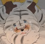  anal anal_penetration animal_crossing blush duo elvis_(animal_crossing) felid hyaku_(artist) lion male male/male male_penetrated male_penetrating male_penetrating_male mammal nintendo pantherine penetration rolf_(animal_crossing) sex tiger video_games 